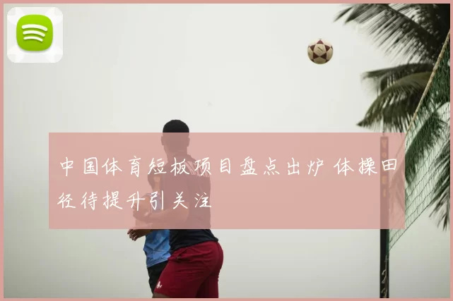 中国体育短板项目盘点出炉 体操田径待提升引关注